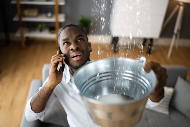Best Residential water damage restoration  in Sheldon, TX