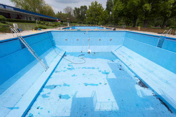 Best Mold removal after water damage  in Sheldon, TX