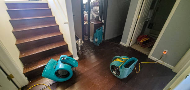Best Local water damage restoration  in Sheldon, TX