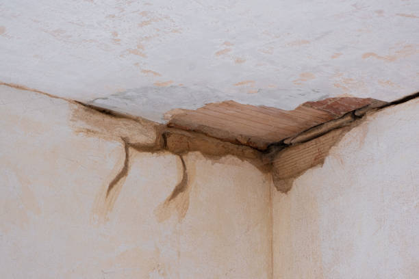 Best Water damage contractors near me  in Sheldon, TX