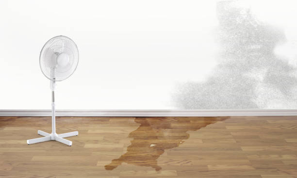 Best Emergency water damage restoration  in Sheldon, TX