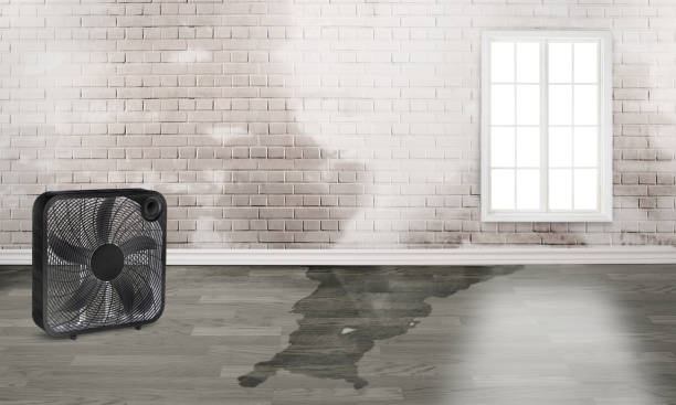 Best Emergency water damage restoration  in Sheldon, TX