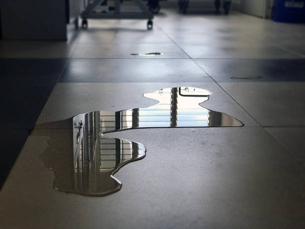 Best Professional water damage repair  in Sheldon, TX
