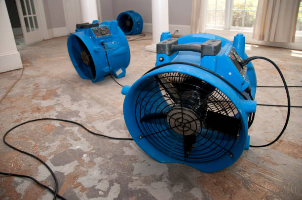 Professional Water damage restoration in Sheldon, TX