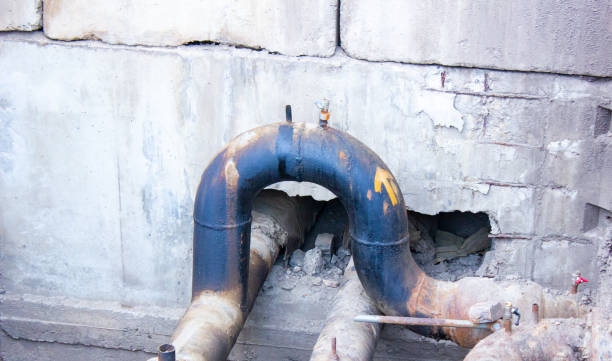 Best Local water damage restoration  in Sheldon, TX