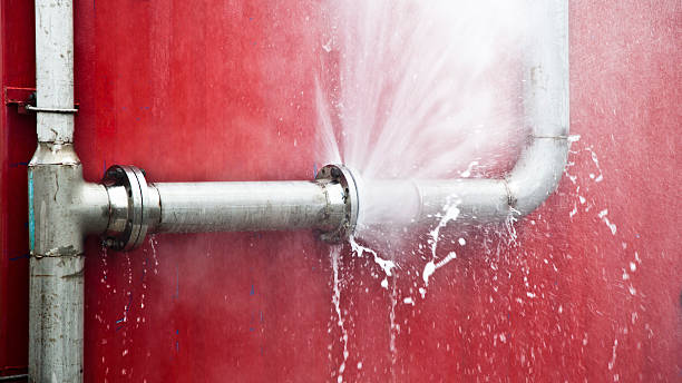 Best Emergency water extraction  in Sheldon, TX